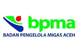 Jalan Mundur Kinerja BPMA, Capaian Tak Terkejar